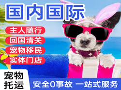 运城机场邮寄国际宠物托运 【国